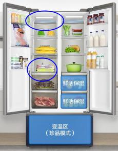 Refrigerator application showing in-mold decorative components